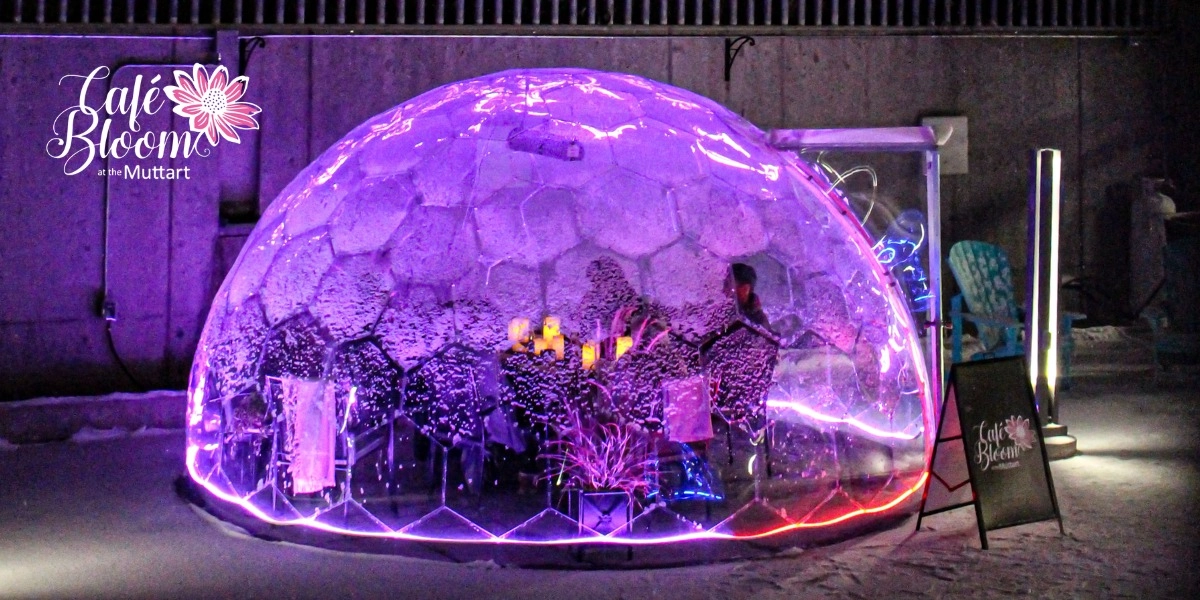 Food & Beverage Things to do in Edmonton · Showpass