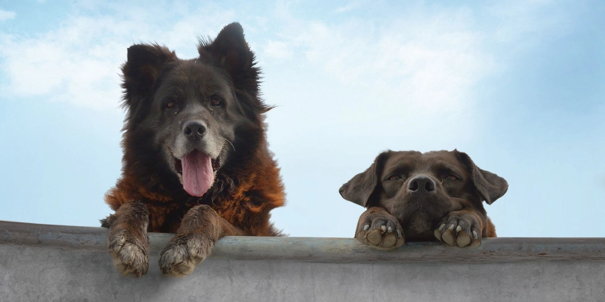 Event image for LOS REYES