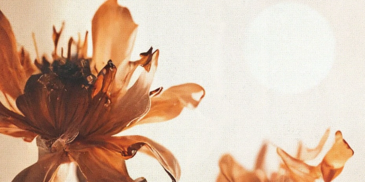 Event image for PostData @ The Seahorse Tavern