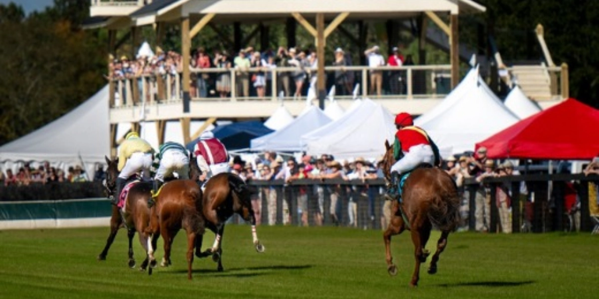 Event image for Aiken Fall Steeplechase Championship