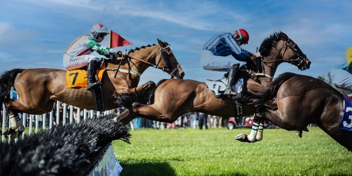 Event image for 2022 Aiken Fall Steeplechase