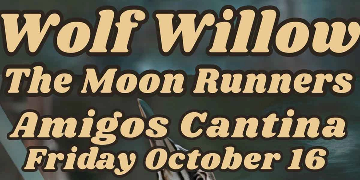 Event image for Wolf Willow w/ The Moon Runners