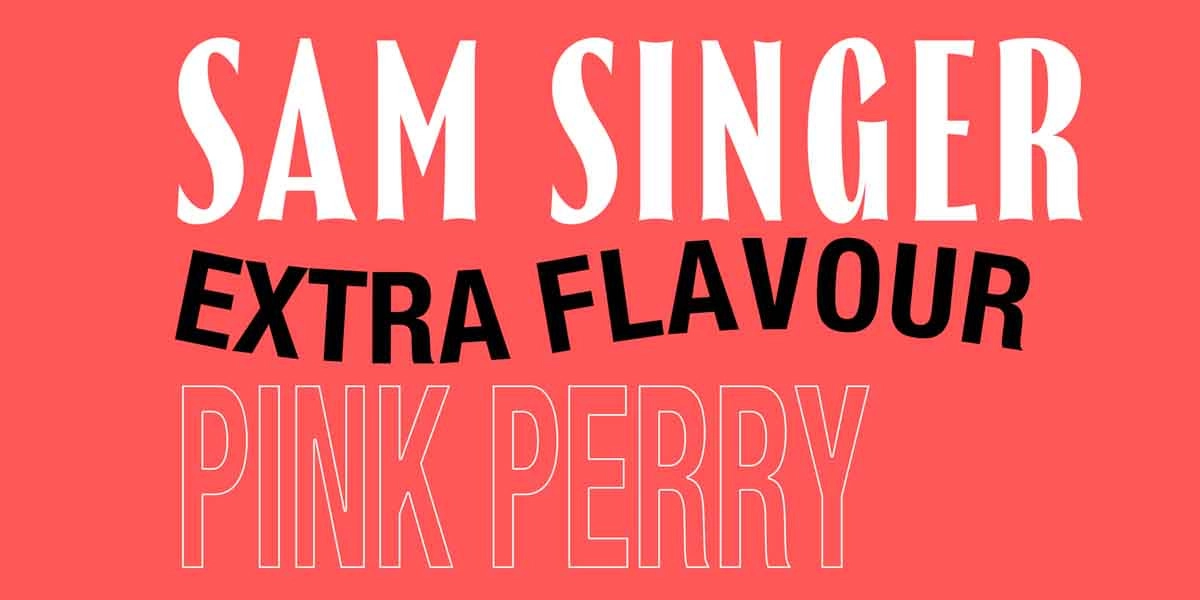 Event image for Sam Singer w/ Extra Flavour and Pink Perry