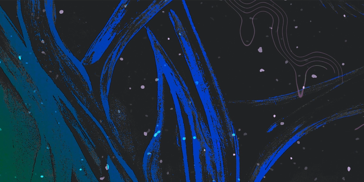 Event image for AQUA LUCIDITY III