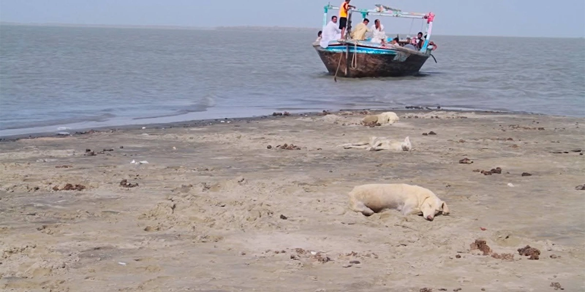 Event image for A Traveler Weeps, A River Laughs - Performance