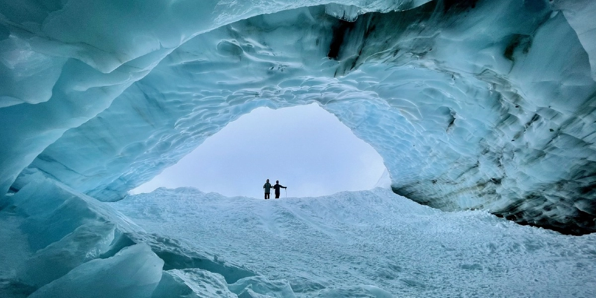 Event image for POW Canada - 'Sam & Me' film screening & climate panel