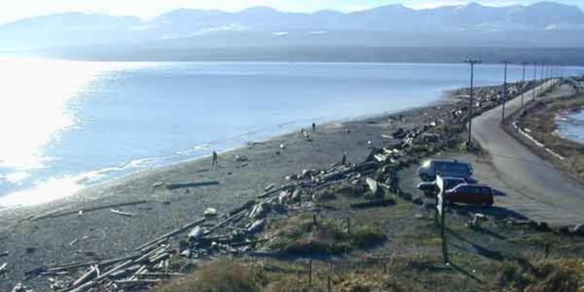 Event image for Nature Walk at Goose Spit