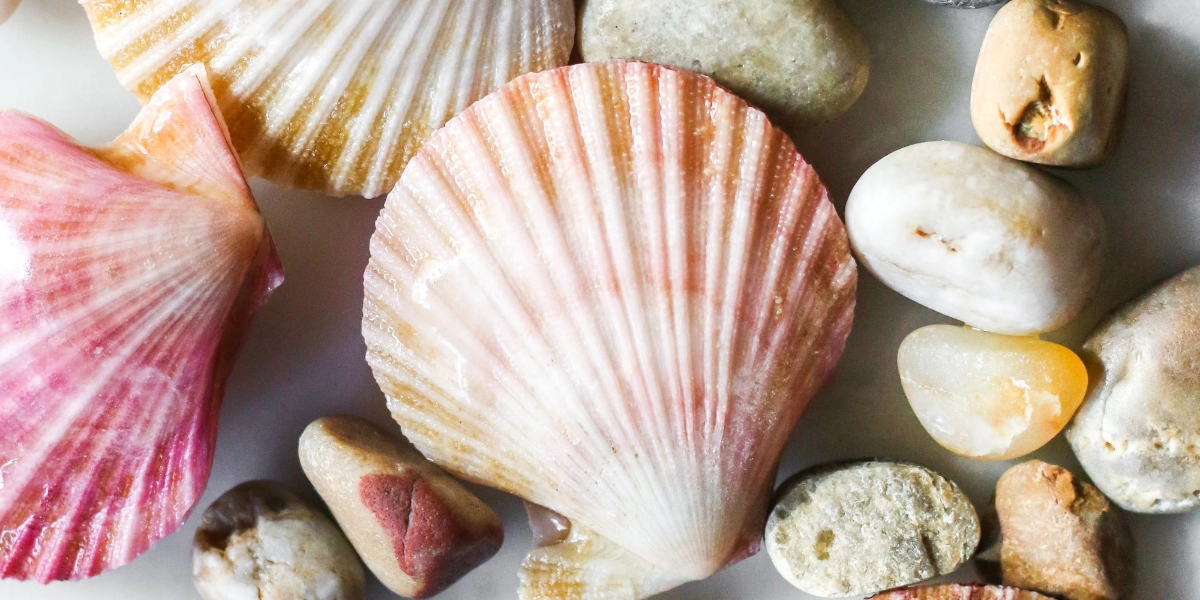 Event image for There's Something About Scallops MasterClass