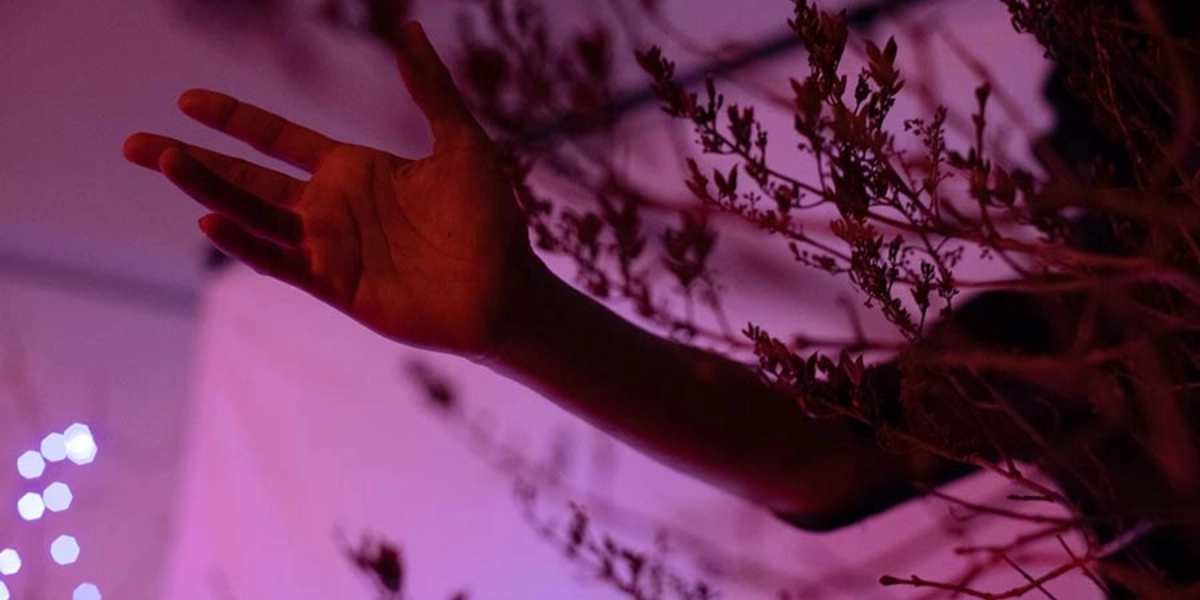 Event image for What’s So Special About A Weasel’s Head