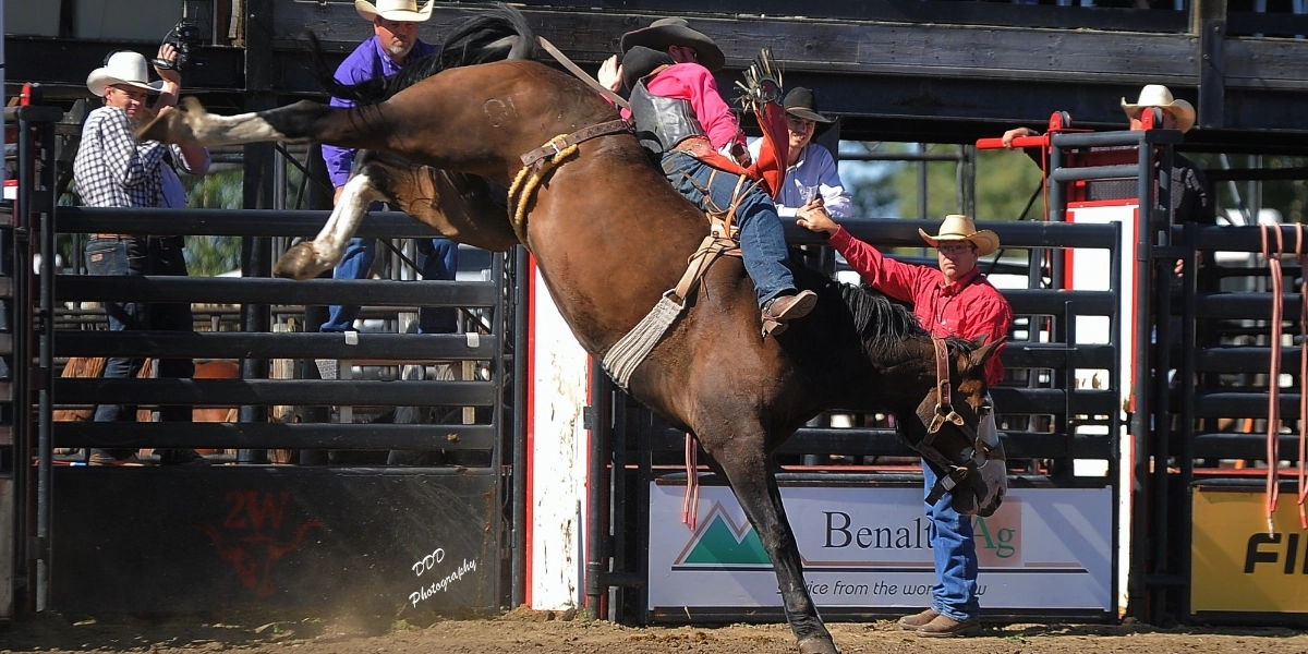 Image d'événement pour 2025- Benalto Fair & Stampede
