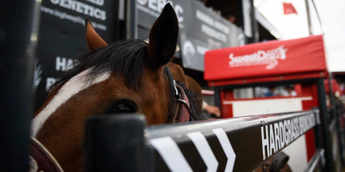 Event image for Hardgrass Bronc Match