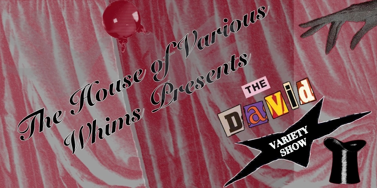 Event image for Night of 1000 Davids Variety Show