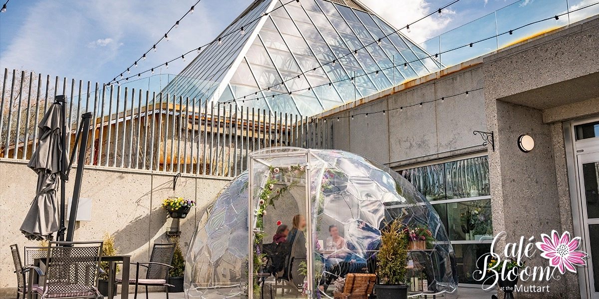 Event image for Cafe Bloom Dome Dining