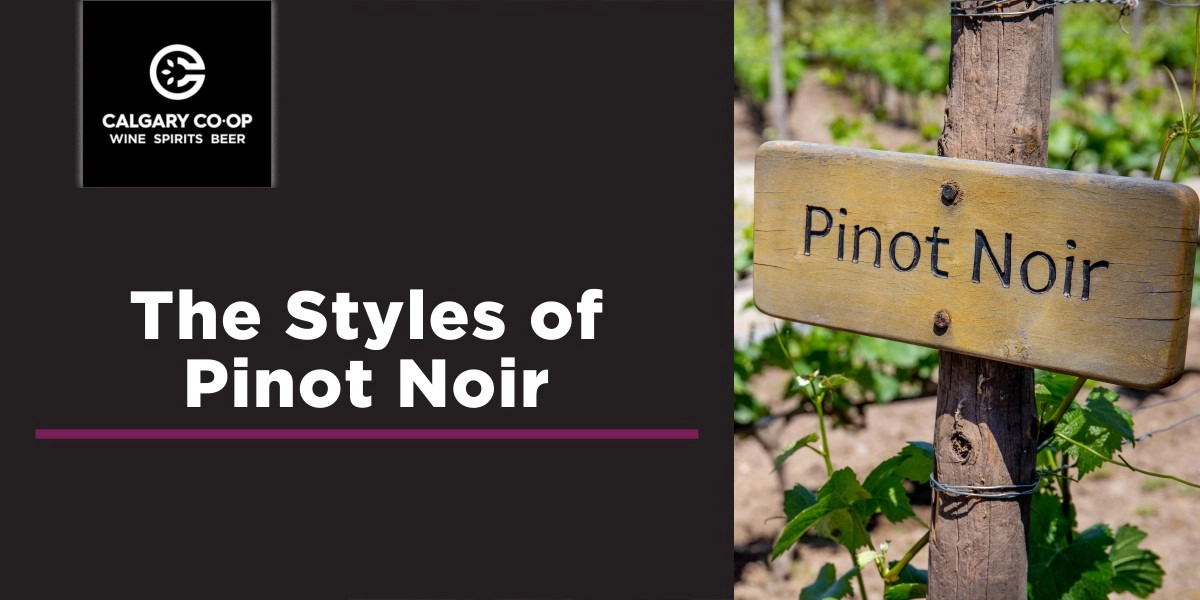 Event image for The Styles of Pinot Noir - Shawnessy
