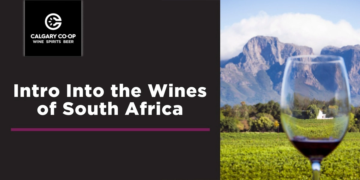 Event image for Intro Into the Wines of South Africa - Beddington