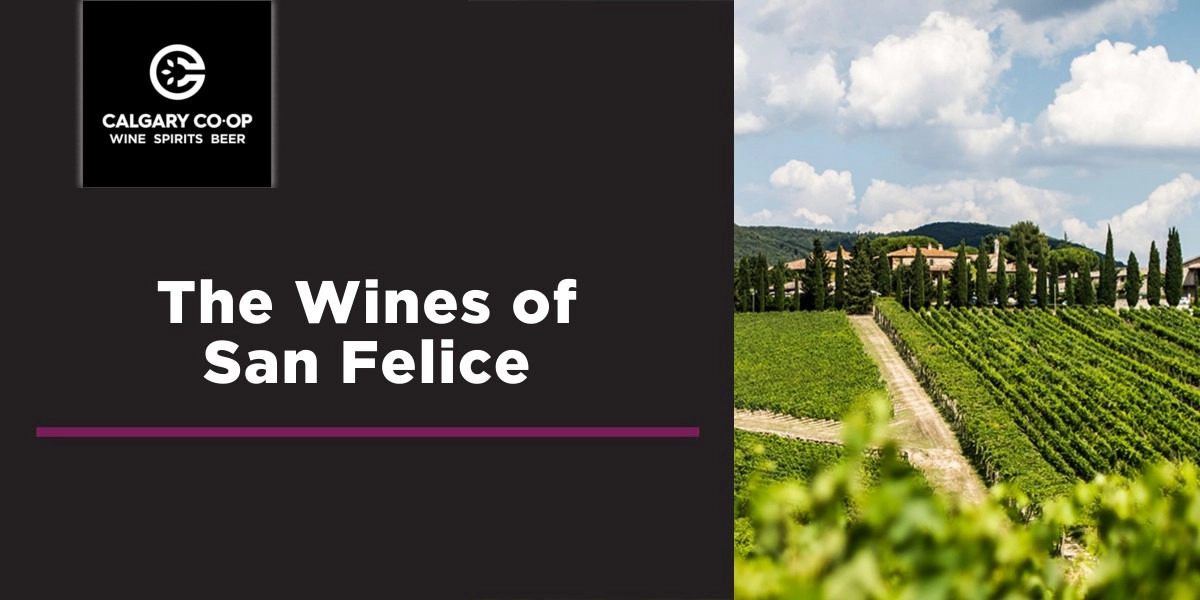 Event image for Producer Event: The Wines of San Felice - Beddington