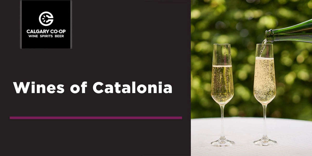 Event image for Wines of Catalonia - Midtown