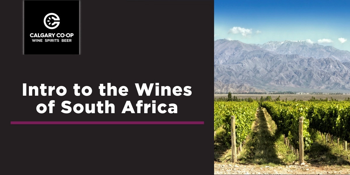 Event image for Intro to the Wines of South Africa - Midtown