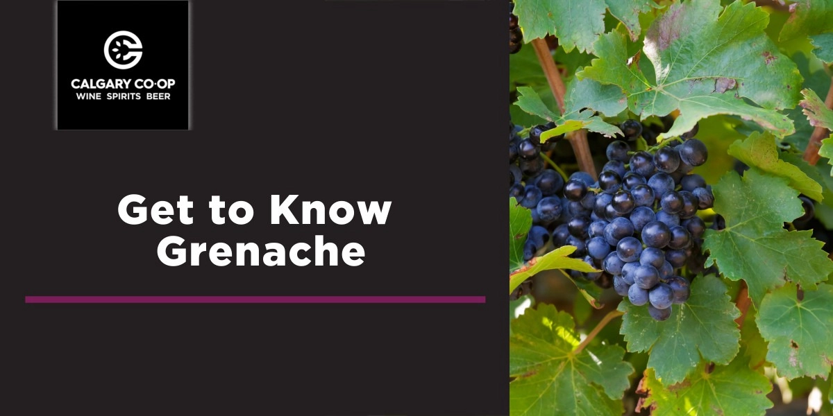 Event image for Get to Know Grenache - Midtown