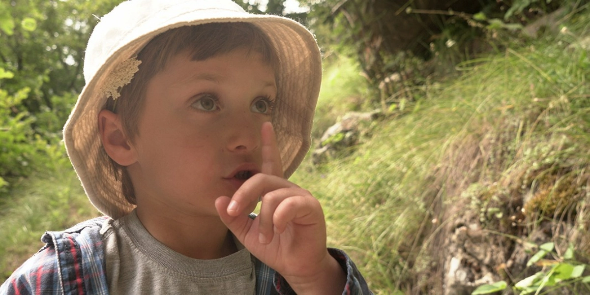 Event image for SUMMER NIGHTS