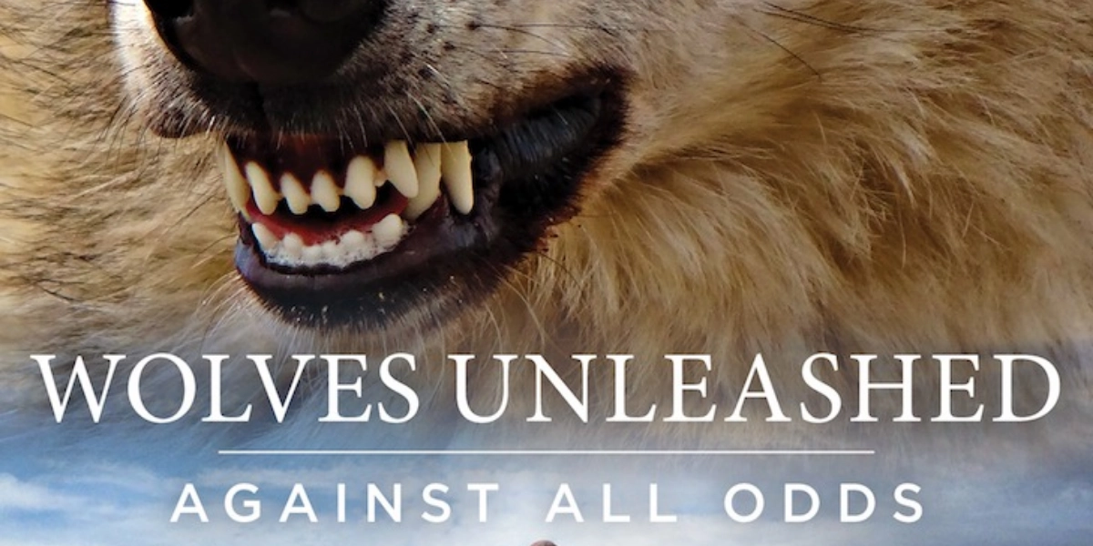 Event image for WOLVES UNLEASHED & Case of the Massey Bodice Ripping - Thursday, March 21 - 7:00pm