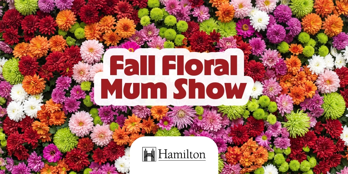 Event image for Fall Floral Mum Show