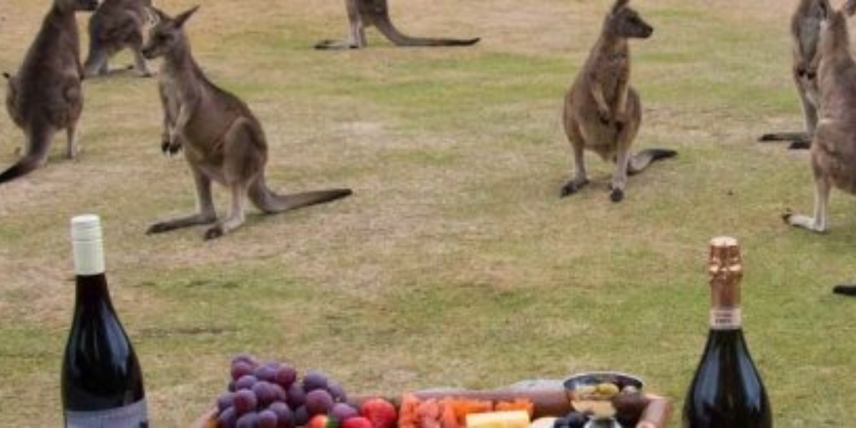 Event image for ADULTS ONLY NIGHT - 80s Night!