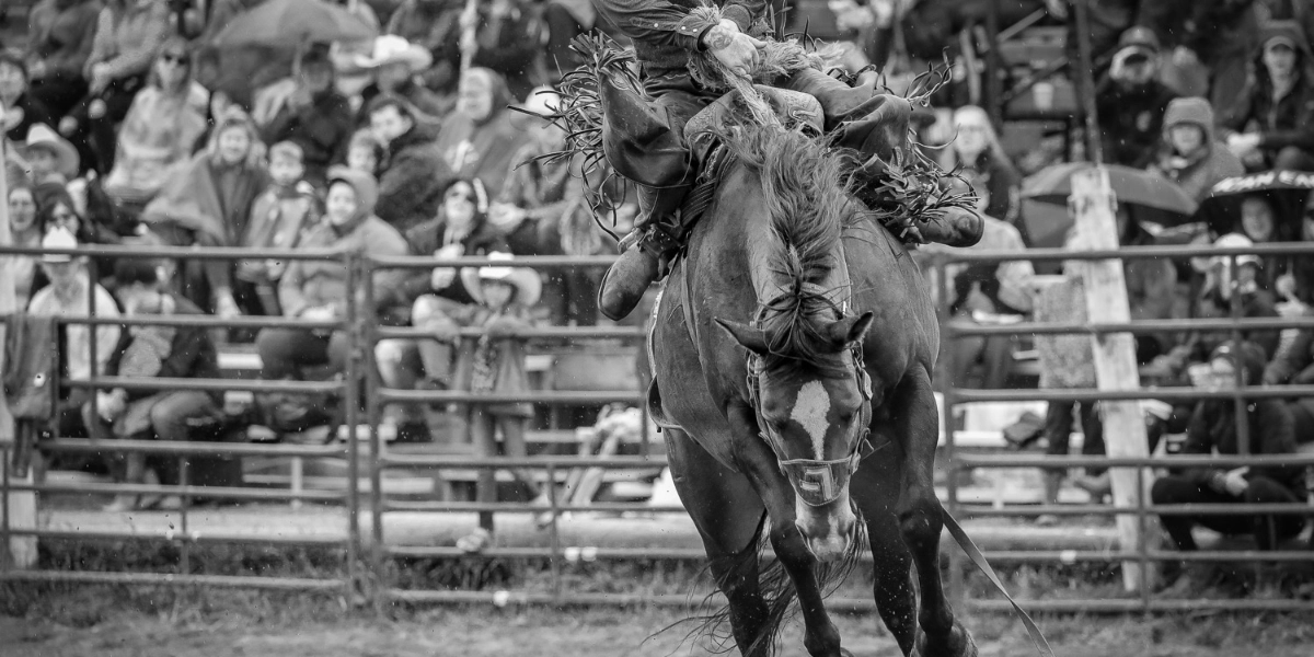 Event image for Cochrane Lions Labour Day Rodeo and Cabaret