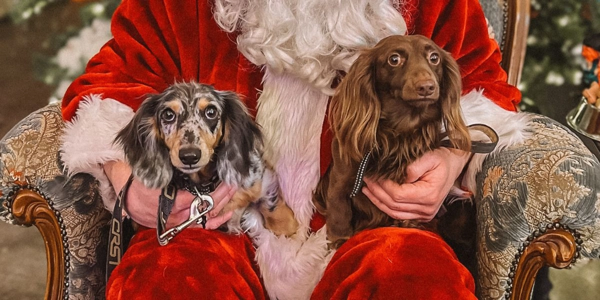 Event image for Dog Photos with Santa