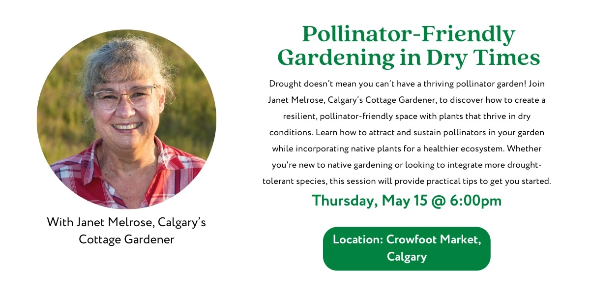 Image d'événement pour Pollinator-Friendly Gardening in Dry Times