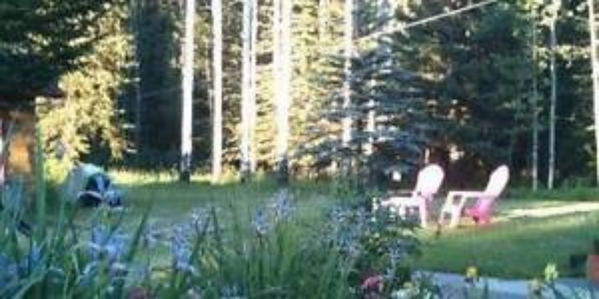 Event image for Conquest Theatre In Canmore