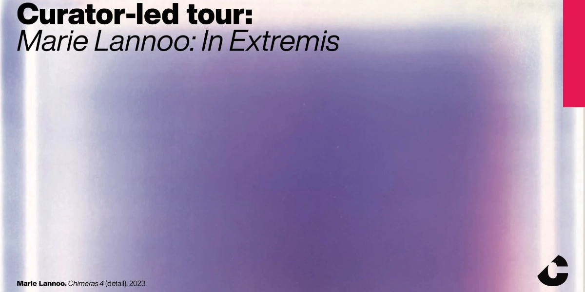 Event image for Curator-led tour: Marie Lannoo: In Extremis