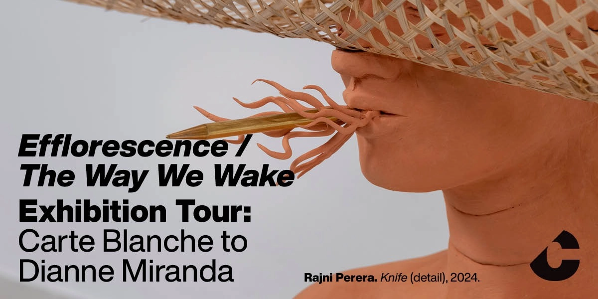 Event image for Efflorescence / The Way We Wake Exhibition Tour