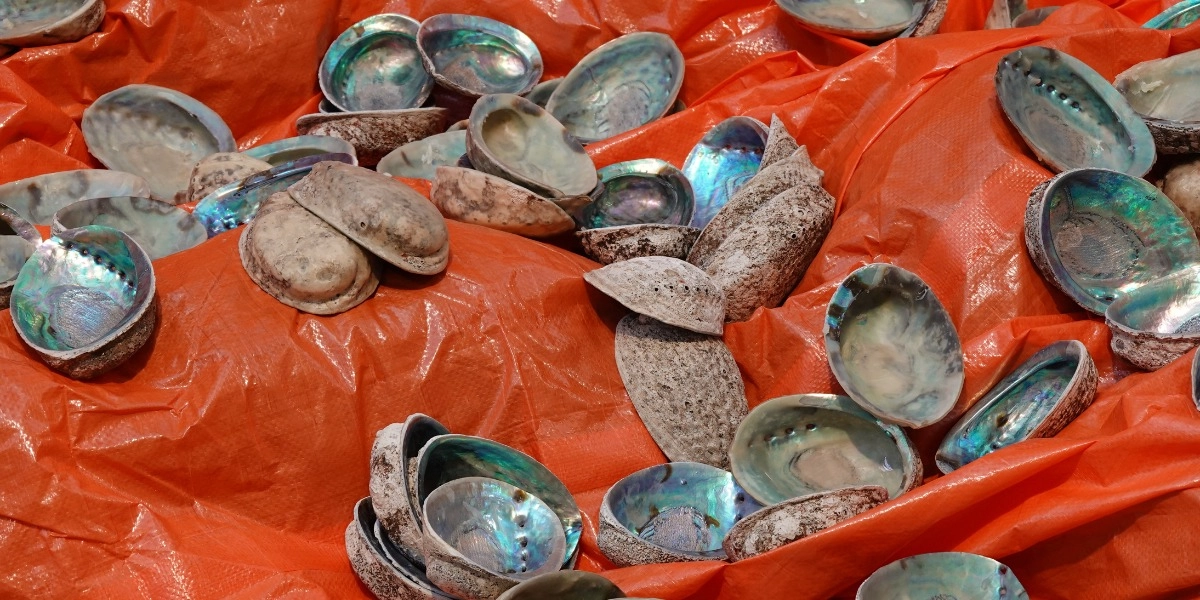 Event image for Artist talk: Tanya Lukin Linklater