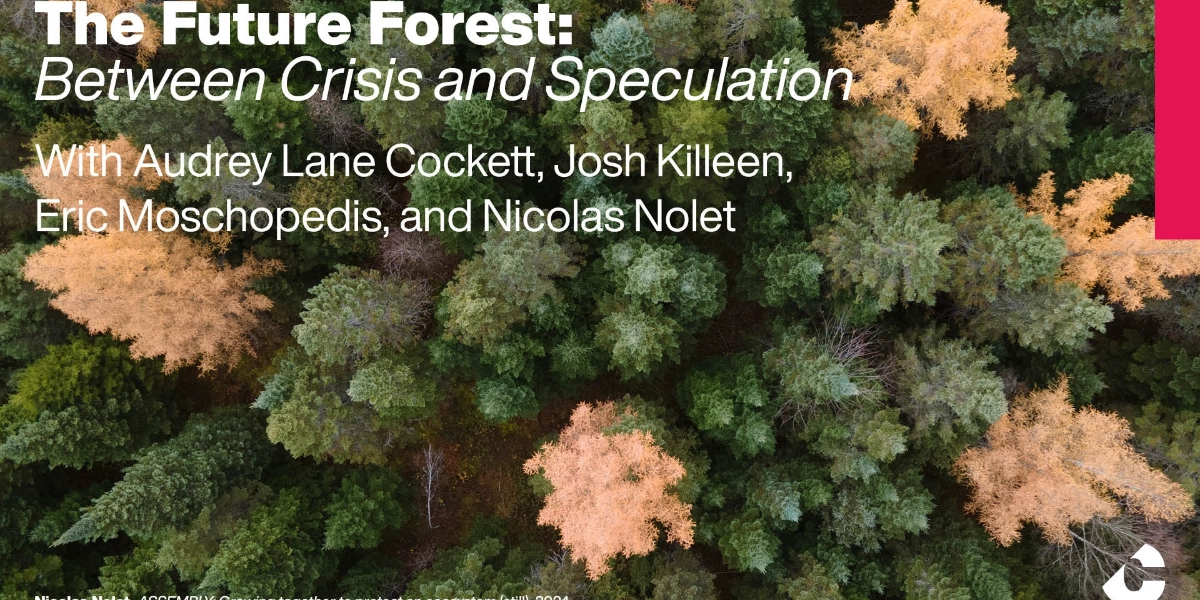 Event image for The Future Forest: Between Crisis and Speculation
