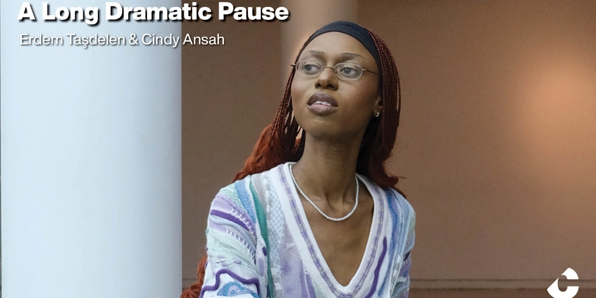 Event image for A Long Dramatic Pause