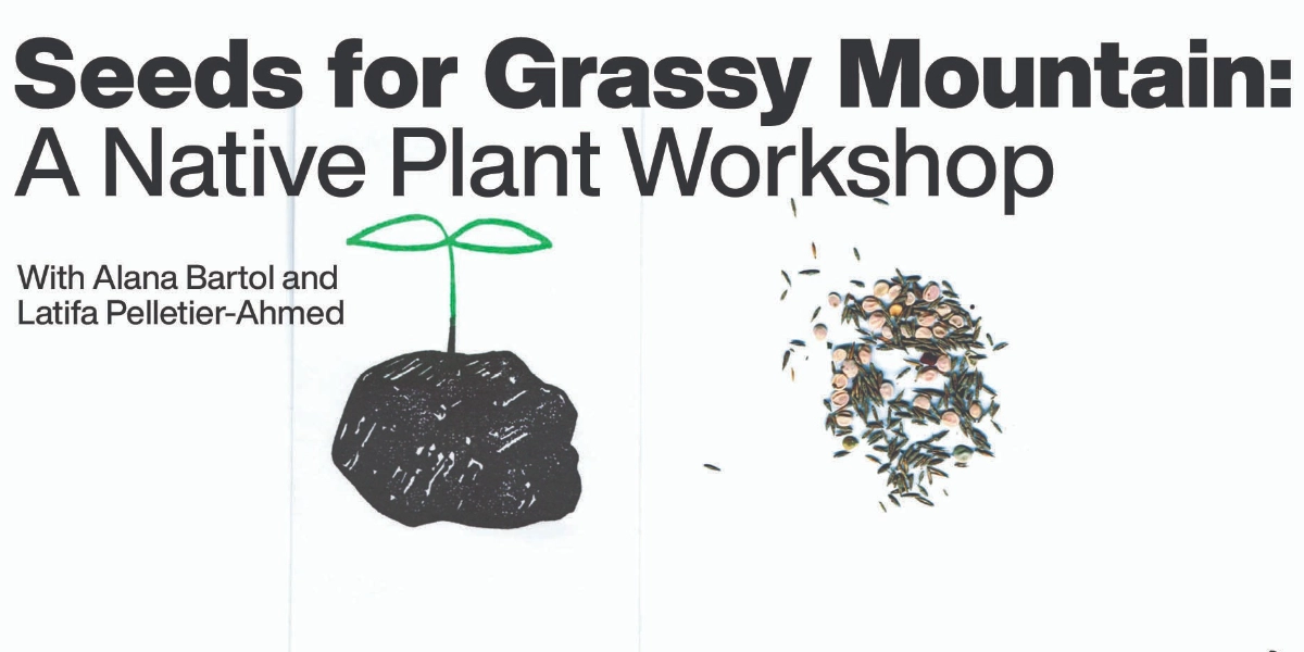 Event image for Seeds for Grassy Mountain: A Native Plant Workshop
