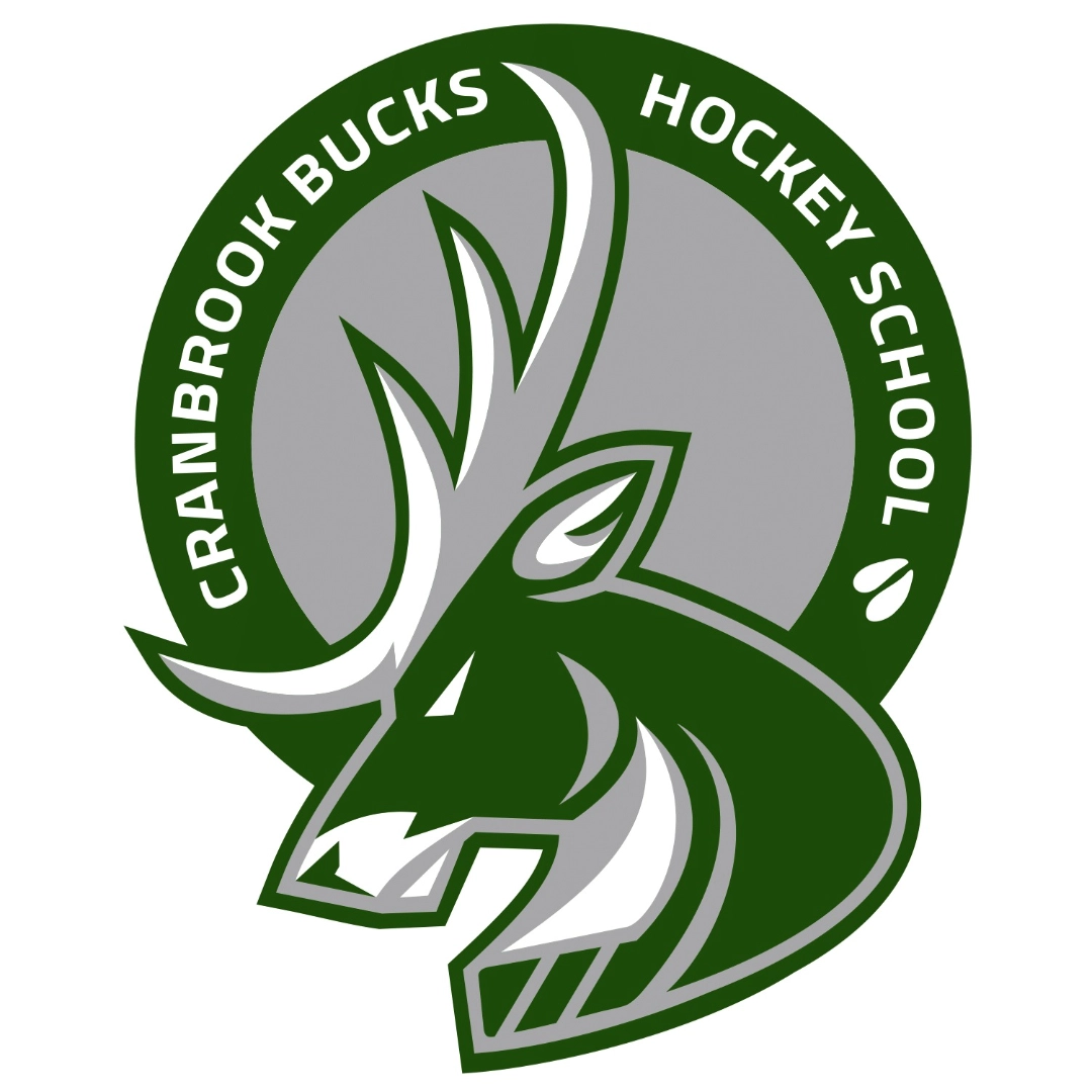 Event image for 2023 Hockey School Ages 13+