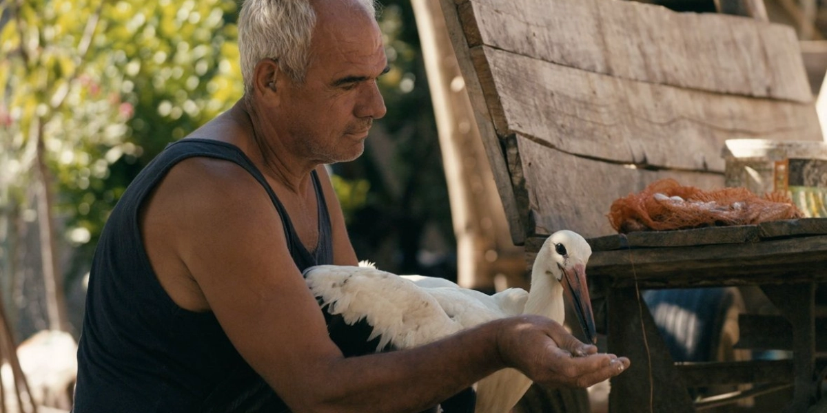 Event image for THE TALE OF SILYAN