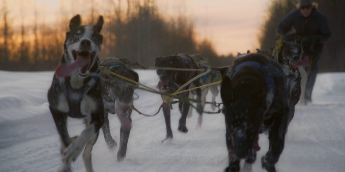 Event image for UNDERDOG