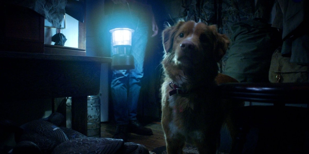 Event image for GOOD BOY