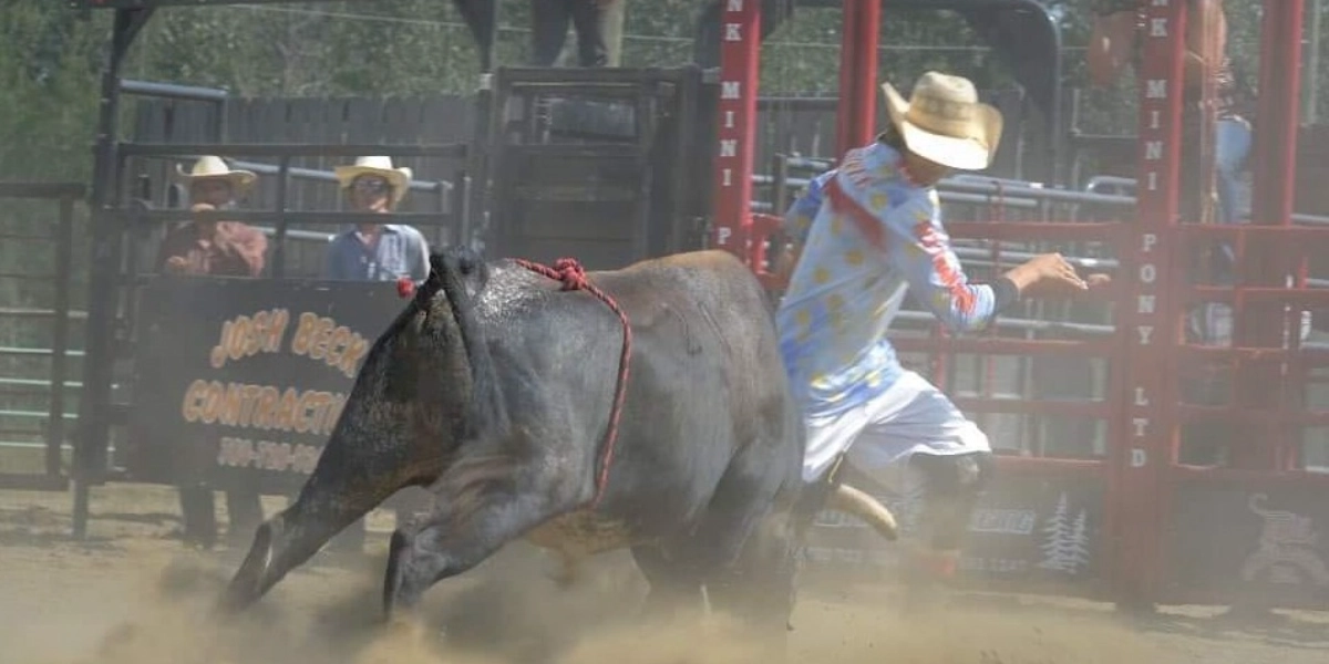 Event image for Dodge Bull