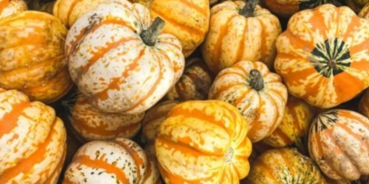 Event image for Poetry and Bluegrass at Elf Leaf Farm