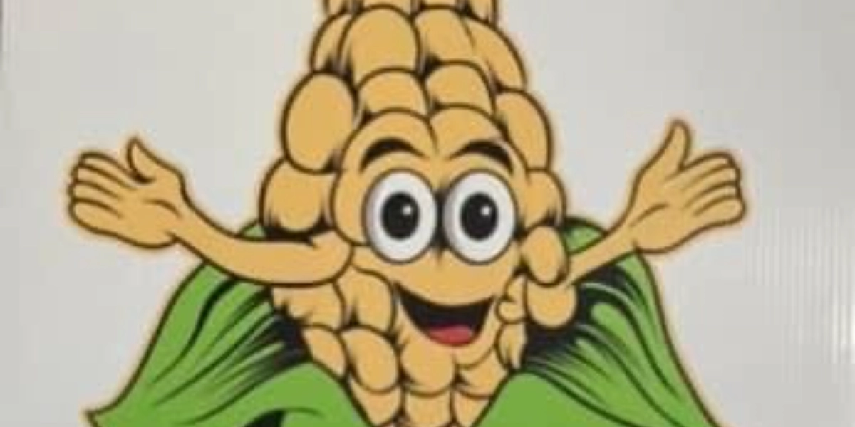 Event image for Labyrinth de mais - Corn maze 2024