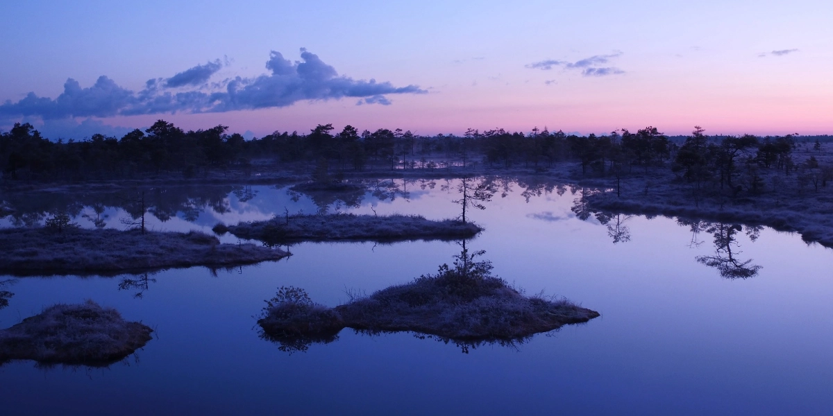 Event image for The Wind Sculpted Land (In-Cinema)