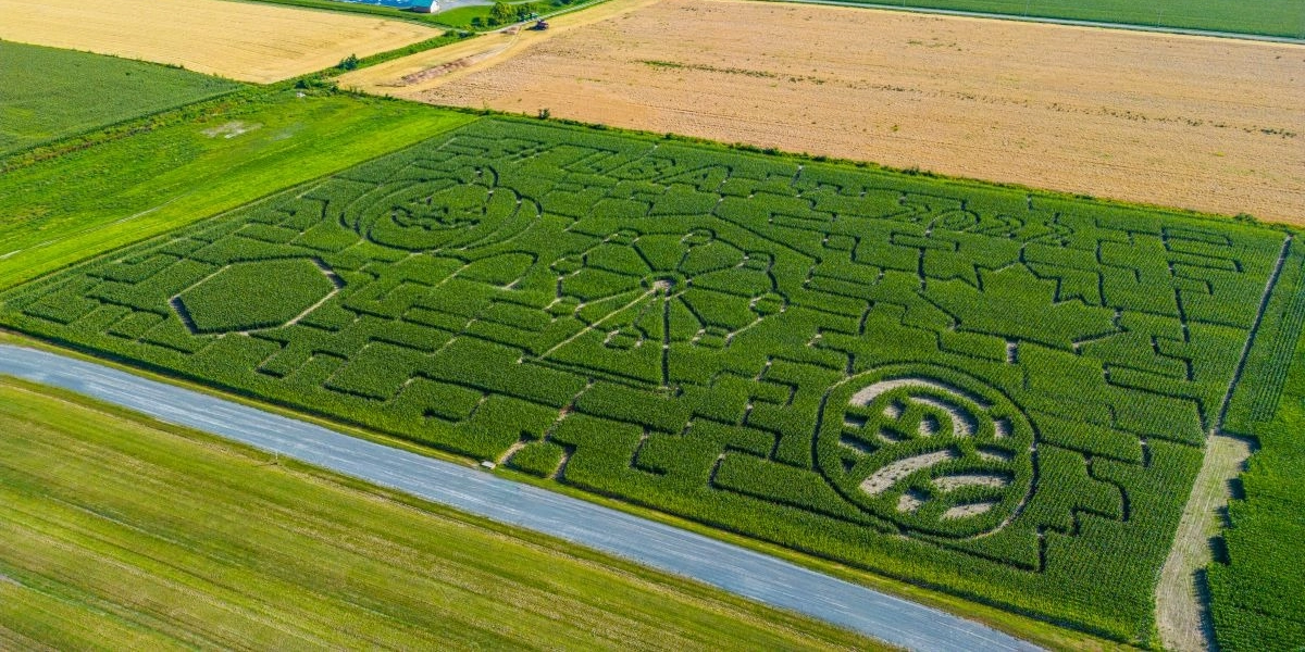 Event image for Labyrinthes De Maïs Géant / Giant Corn Maze