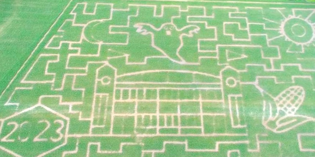 Event image for Labyrinthes De Maïs / Corn Maze