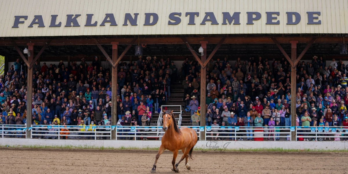 Event image for The 105th Falkland Stampede