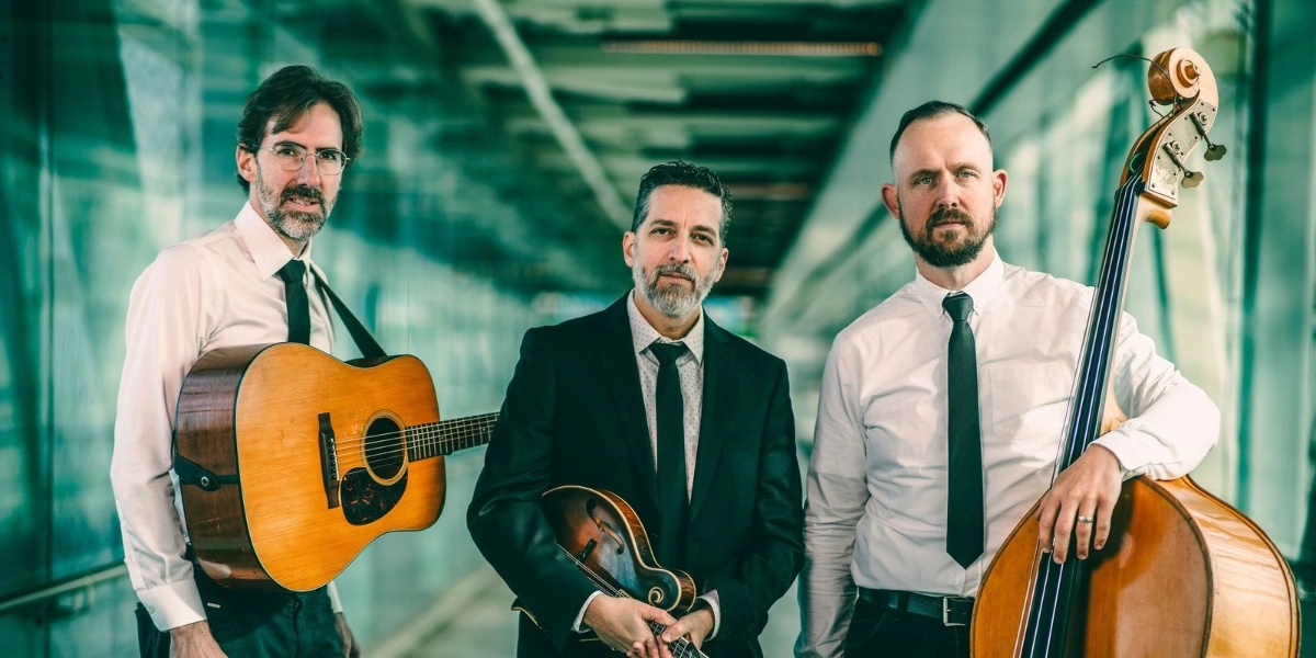 Event image for The Andrew Collins Trio