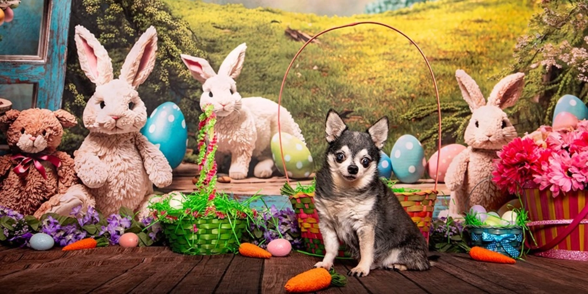 Event image for Central Bark Easter Portraits March 23